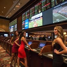 tiger bet