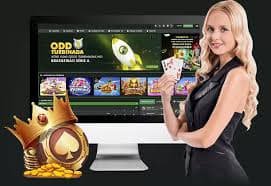 tiger bet